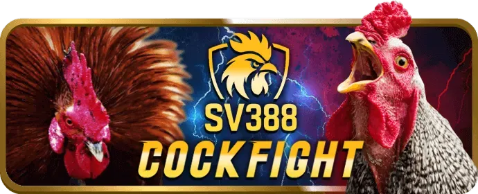 Chương trình hoàn trả và quà tặng f1686